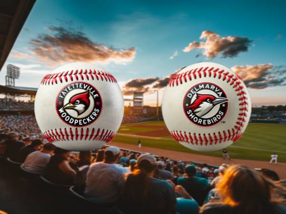Delmarva Shorebirds vs. Fayetteville Woodpeckers